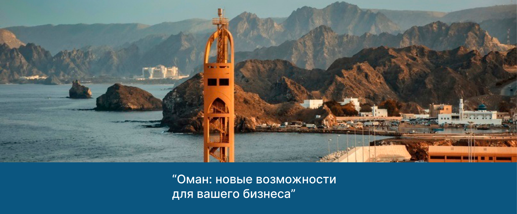 НИПТ принял участие в вебинаре «Оман: новые возможности для вашего бизнеса»
