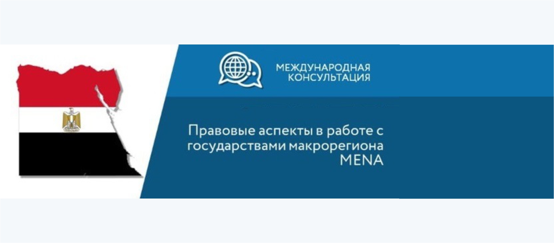 НИПТ принял участие в вебинаре «Правовые аспекты в работе с государствами макрорегиона MENA»